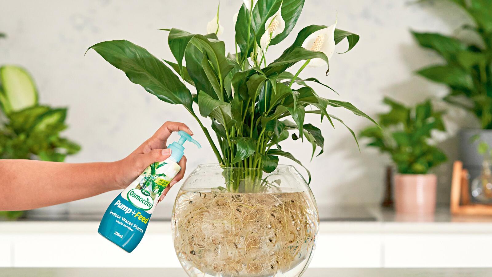 14 Best Liquid Fertilizer For Indoor Plants for 2023