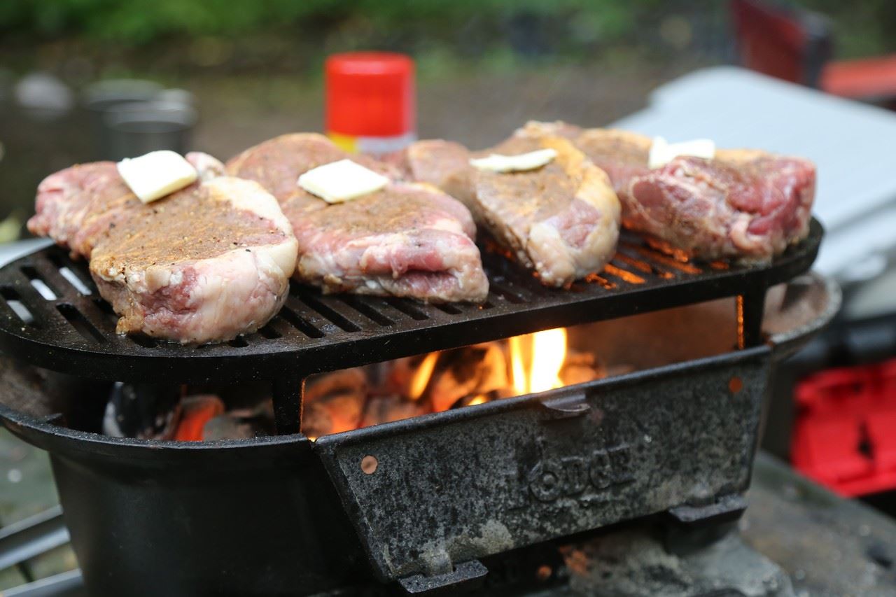 14 Best Lodge Grill for 2024
