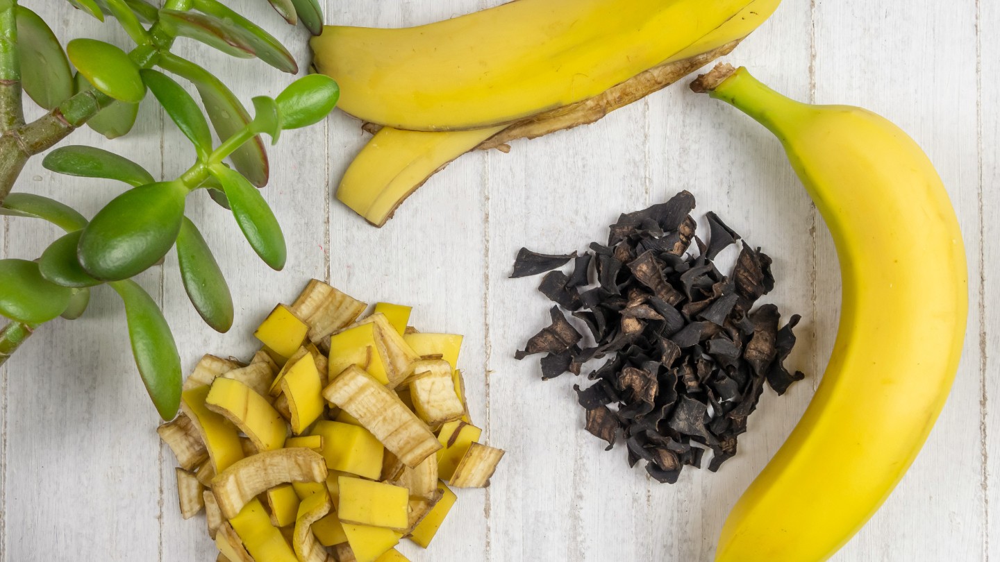 15 Amazing Banana Fertilizer for 2024