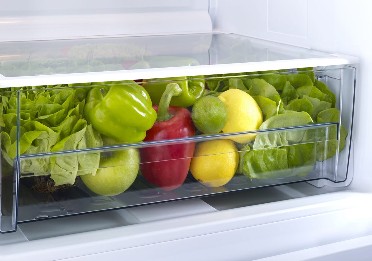 15 Amazing Refrigerator Crisper Drawer for 2023