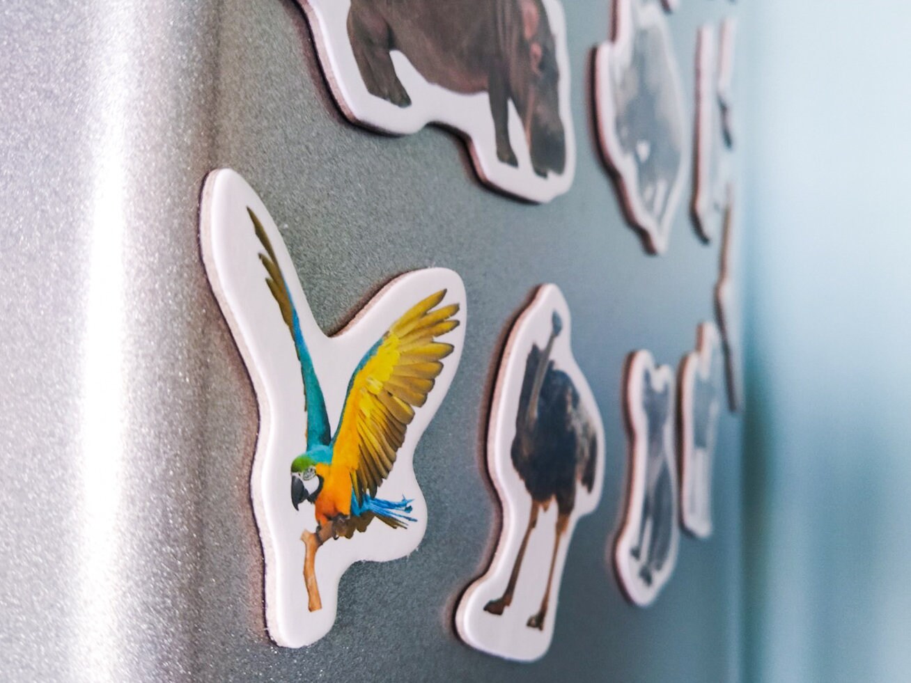 15 Amazing Refrigerator Magnets For Toddlers for 2024