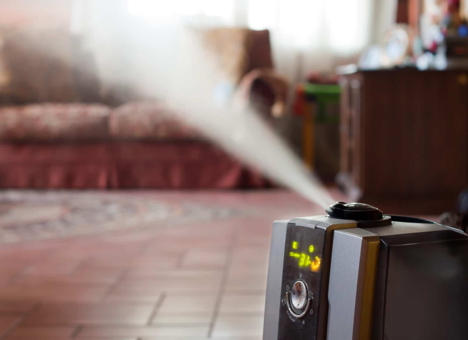 15 Amazing Warm Humidifier for 2023