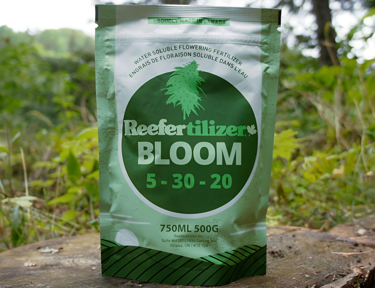 15 Best Bloom Fertilizer For Cannabis for 2024
