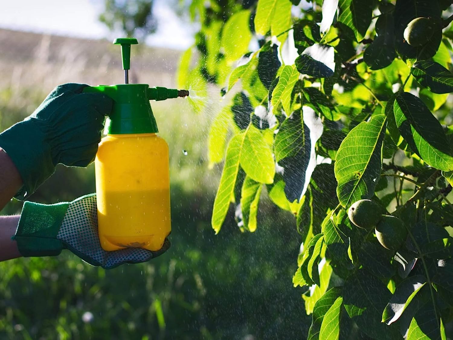 15 Best Liquid Fertilizer For Plants for 2023