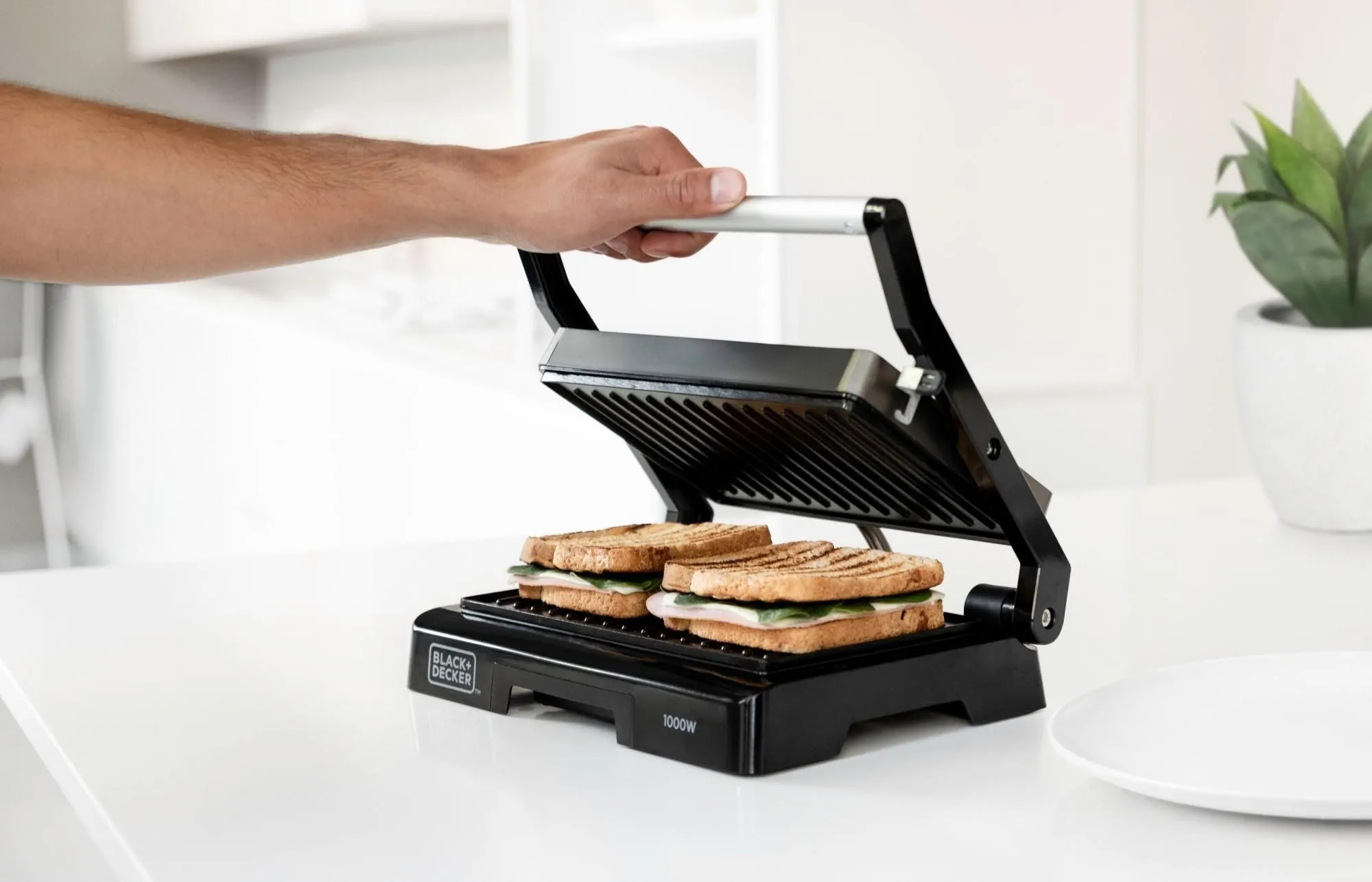 15 Best Mini Grill for 2024
