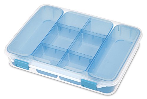 Sterilite Storage Container with Divided Cases and Tint Trays