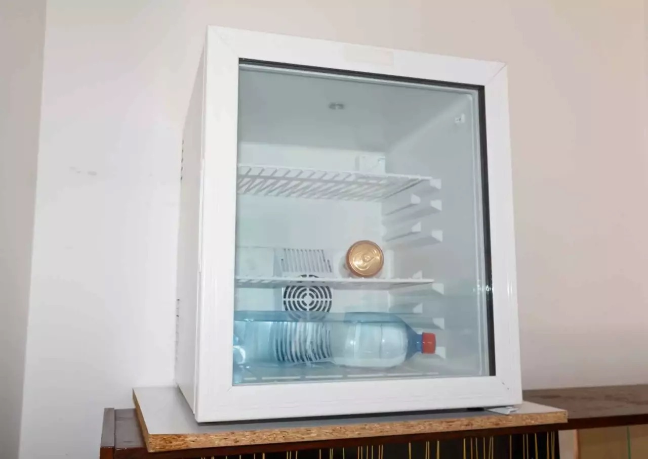 5 Best Small Refrigerator With Glass Door for 2024