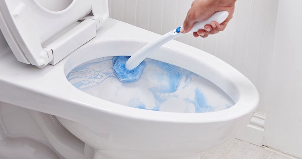 8 Amazing Clorox Toilet Wand for 2024