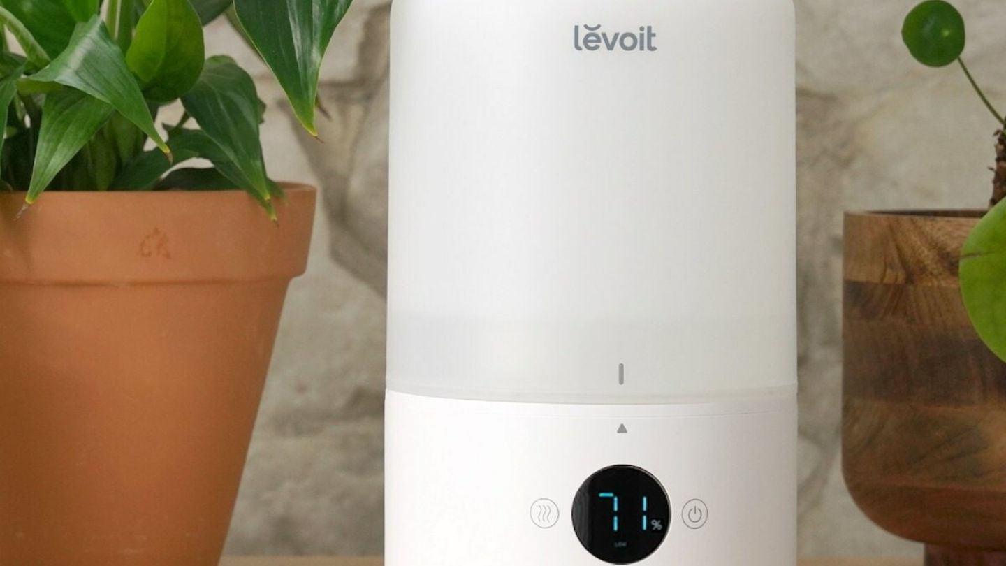 8 Amazing Levoit Humidifier for 2024