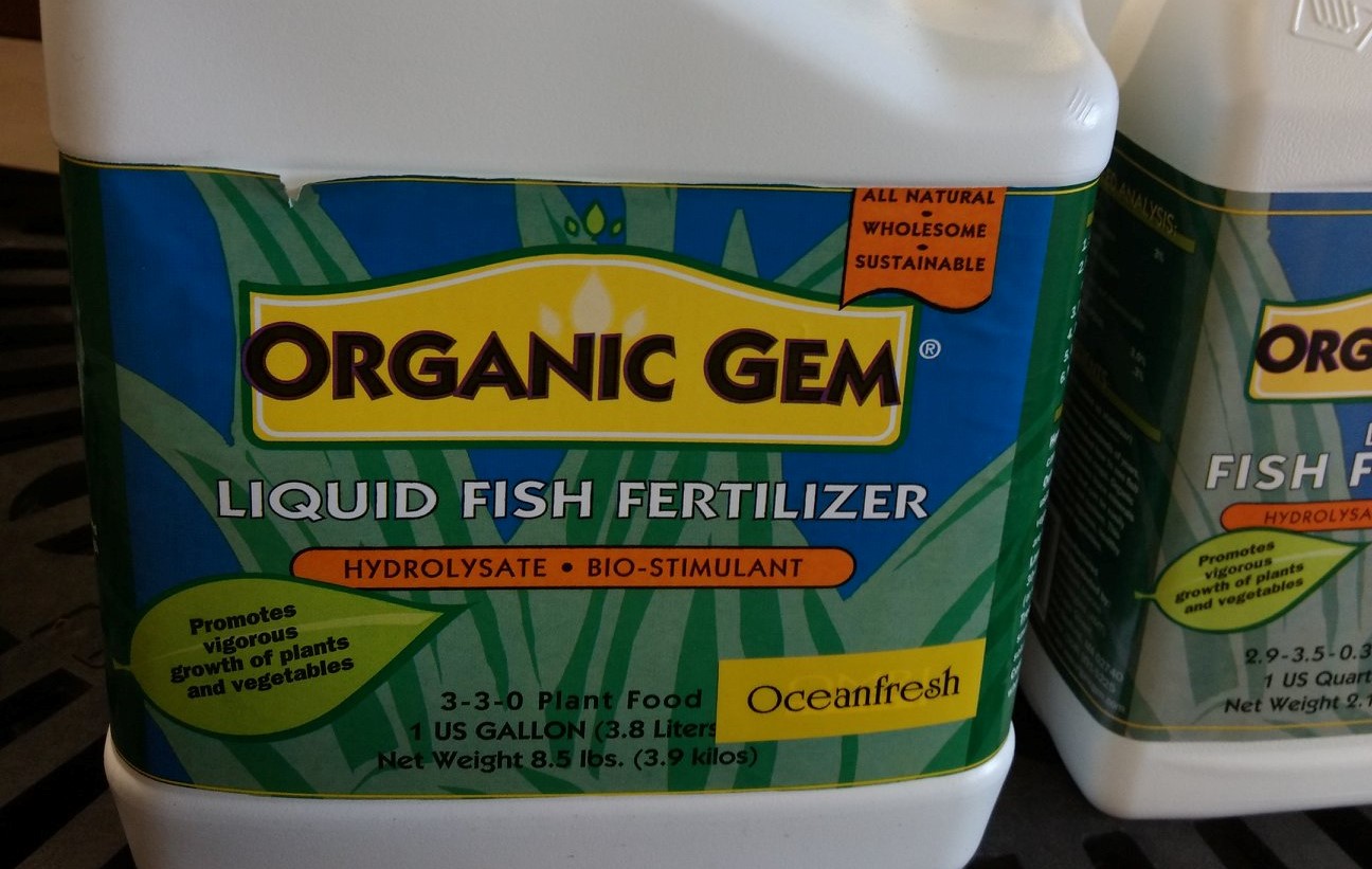 8 Amazing Liquid Fish Fertilizer for 2024