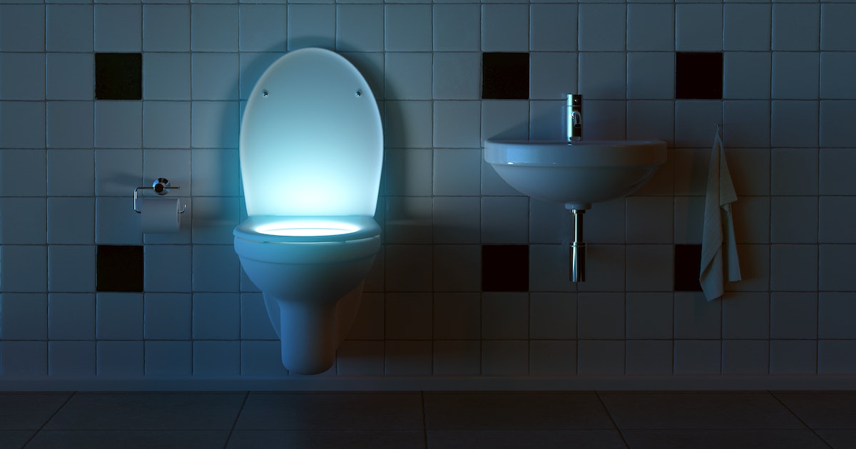 8 Amazing Toilet Light for 2023