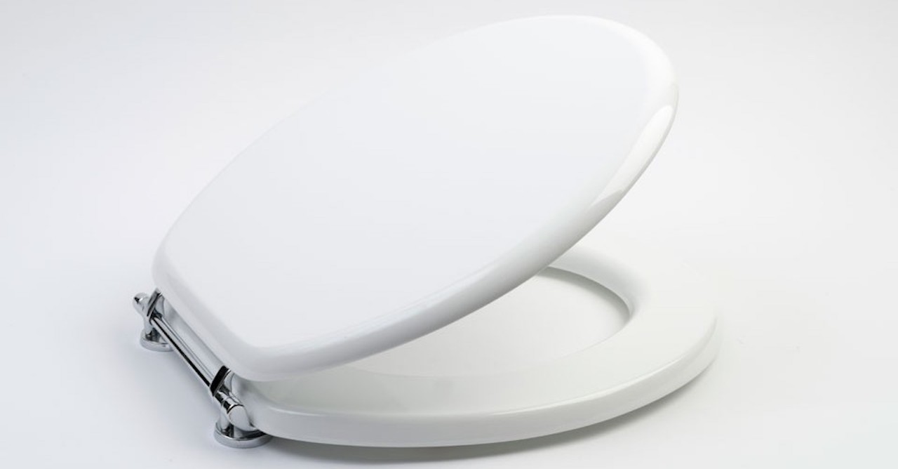 8 Amazing Toilet Seat Elongated for 2024