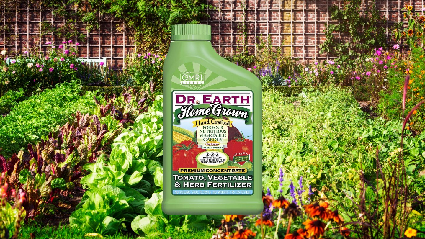 9 Amazing Dr Earth Liquid Fertilizer for 2024