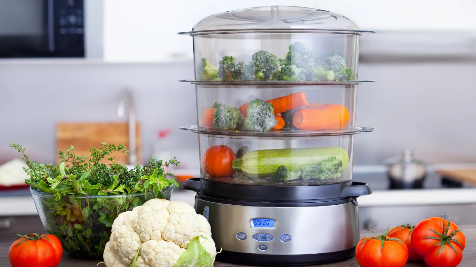 9 Amazing Electric Food Steamer for 2024