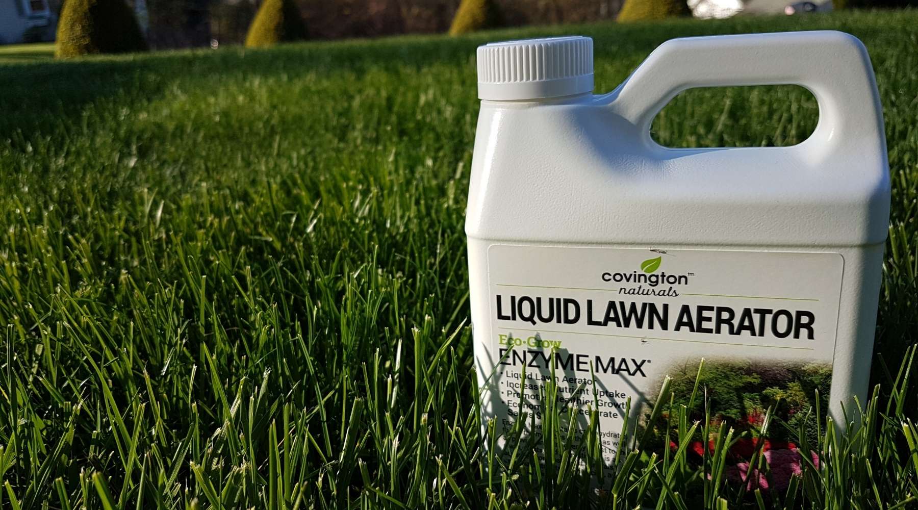 9 Amazing Liquid Grass Fertilizer for 2024