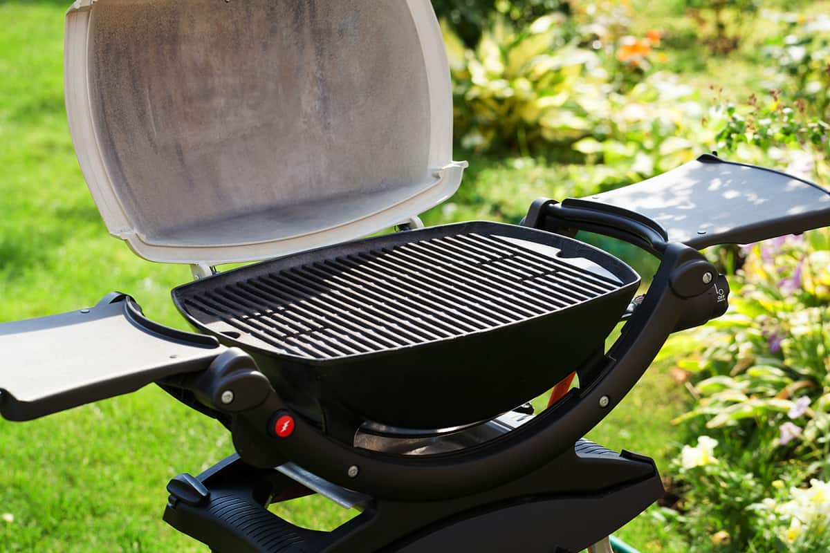 9 Amazing Portable Propane Grill for 2024