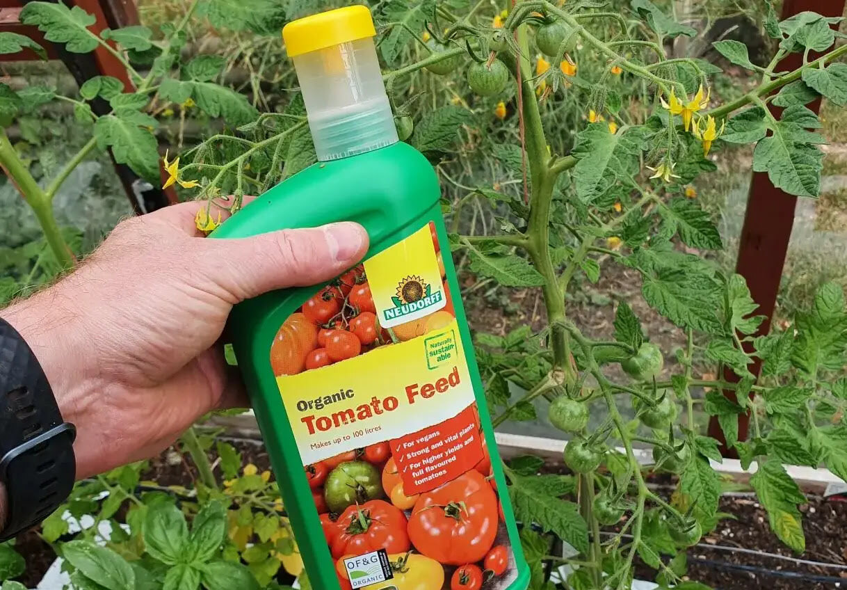 9 Amazing Tomato Fertilizer for 2023