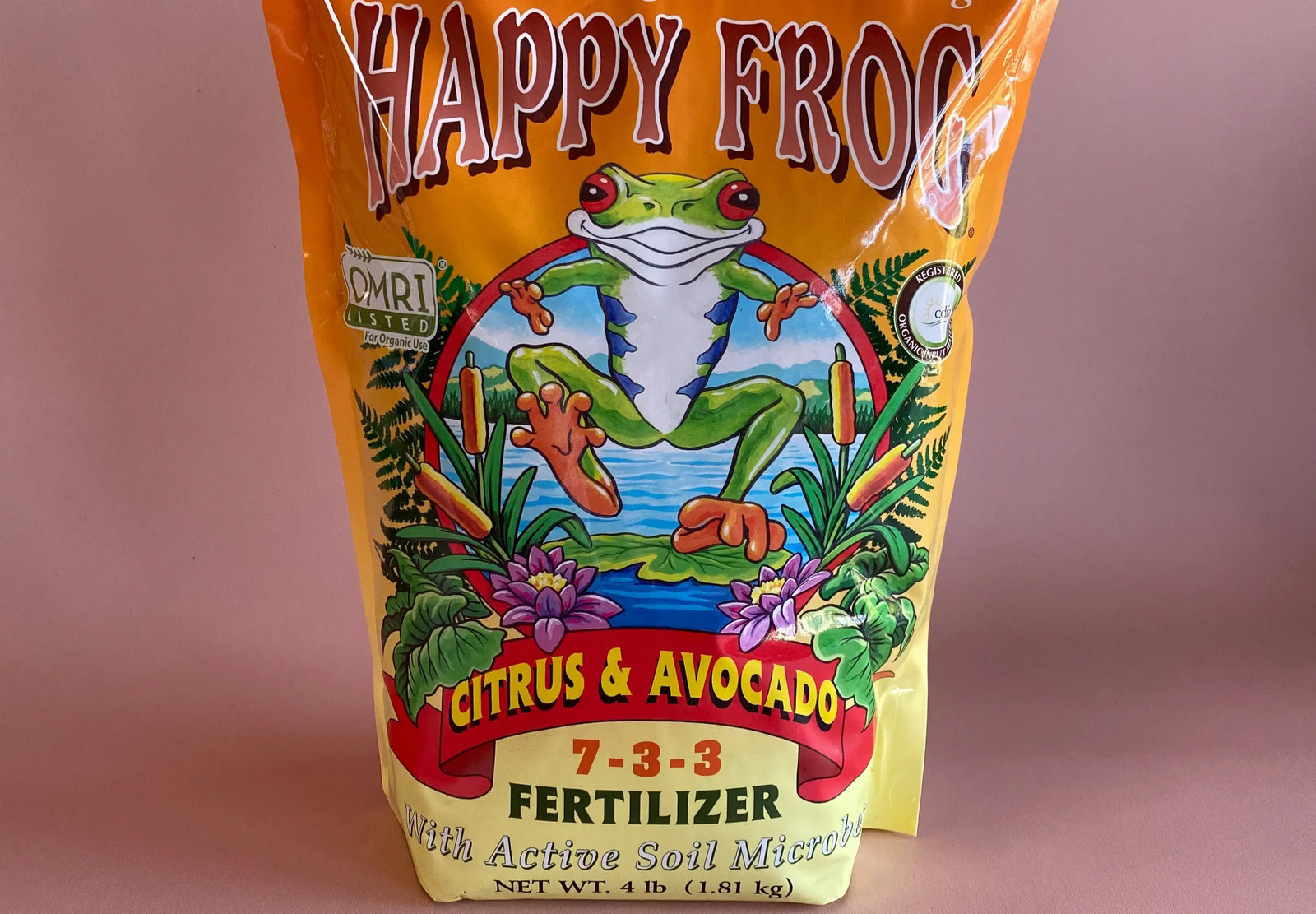 9 Best Avocado Fertilizer for 2024