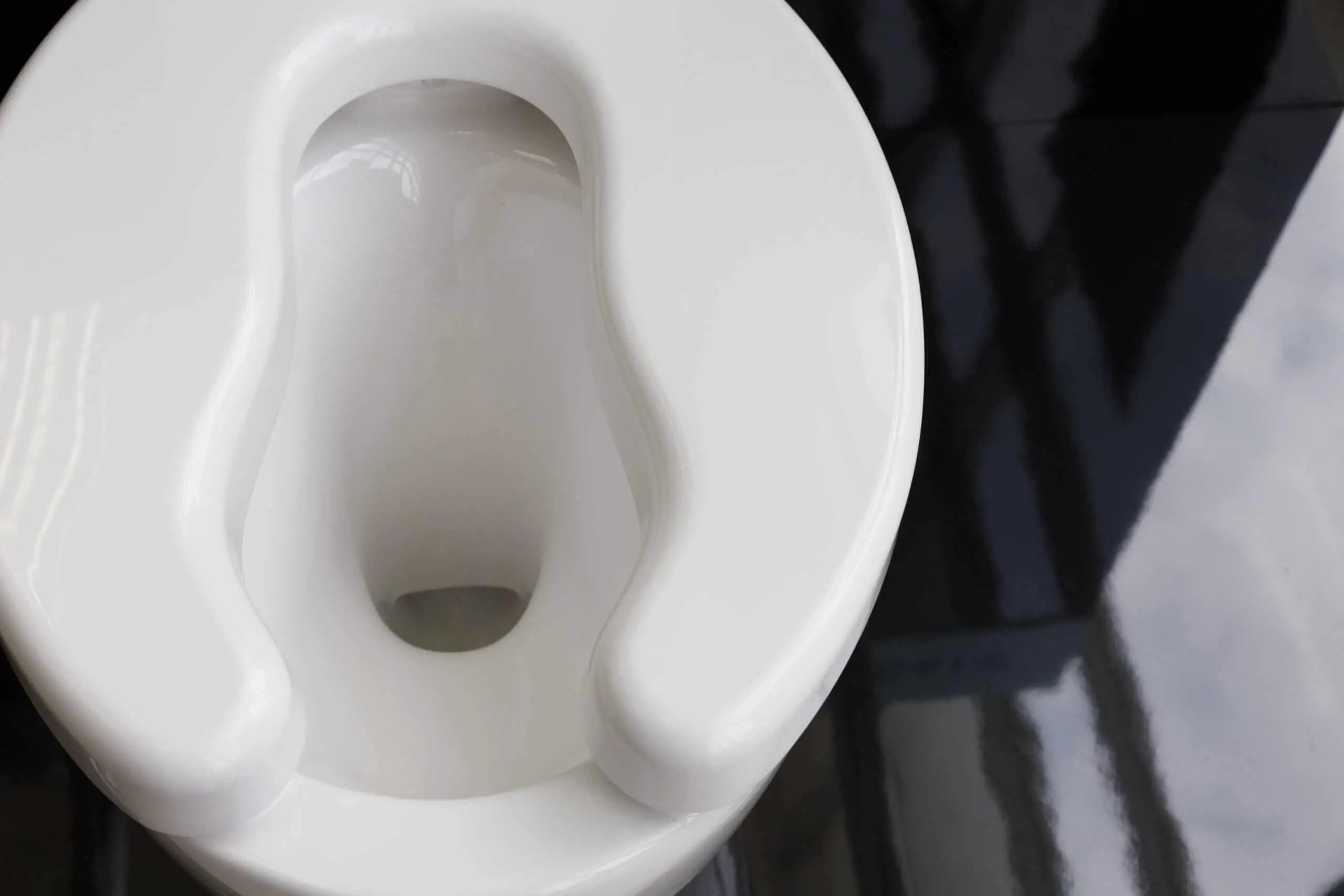 9 Best Elevated Toilet Seat for 2024