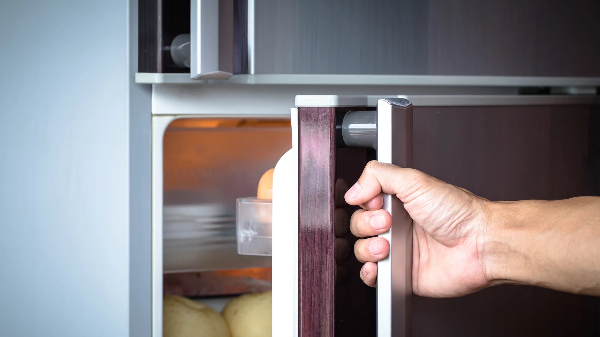 9 Best Refrigerator Door Alarm for 2024