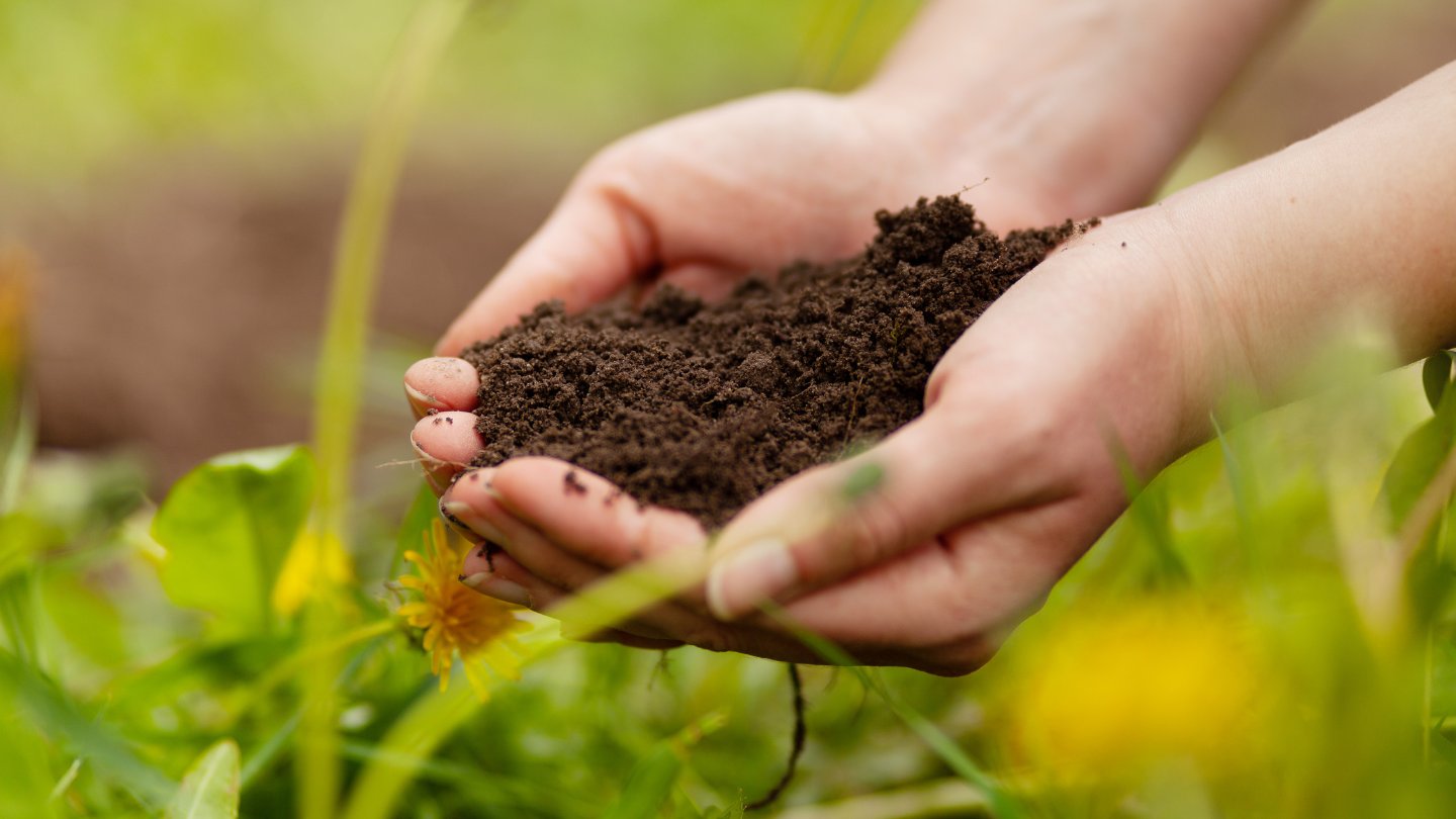 9 Best Soil Fertilizer for 2024