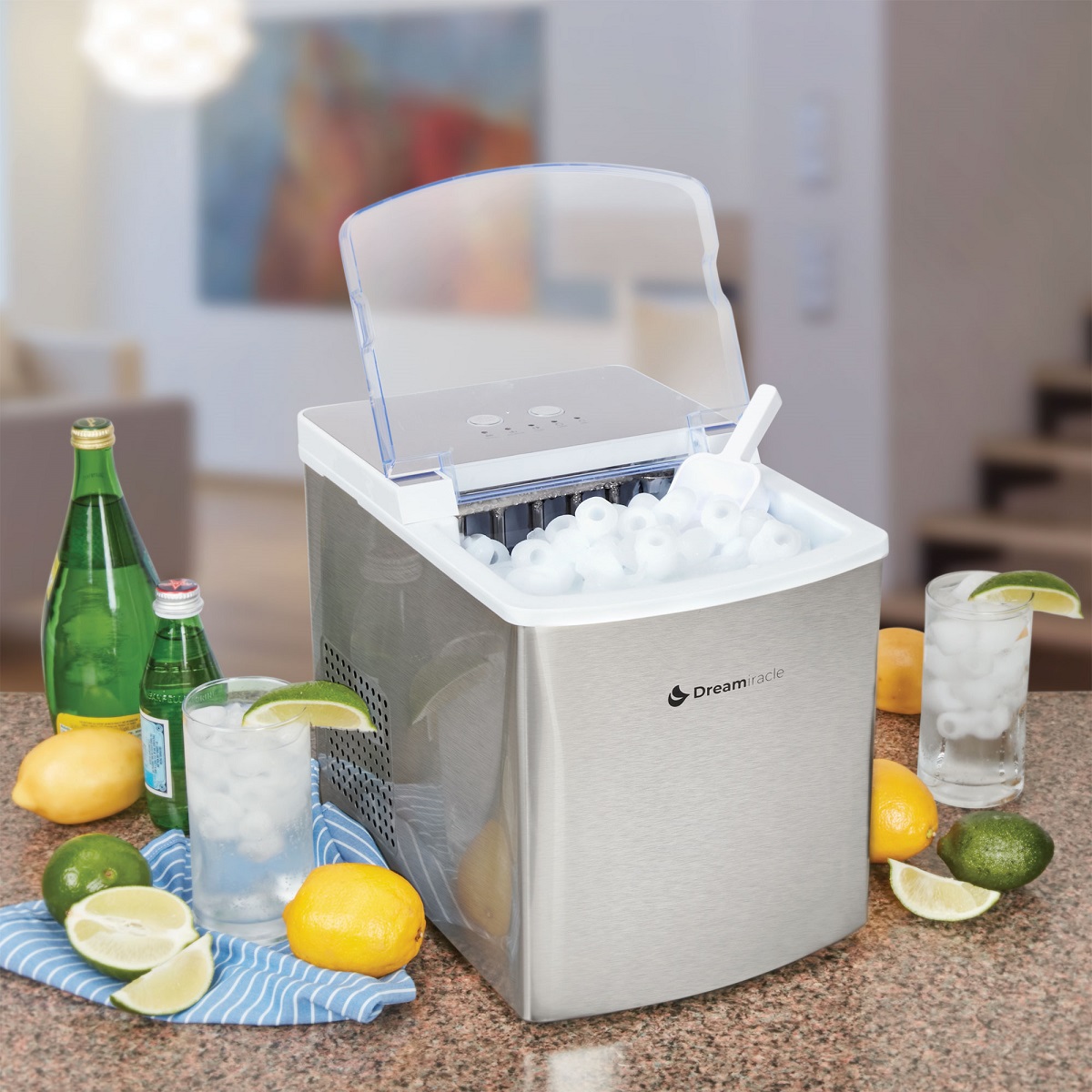 Dreamiracle Ice Maker How To Clean