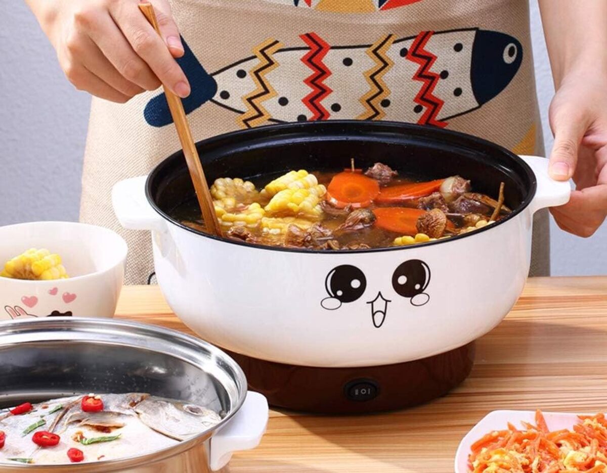 From Where Can I Purchase Portable Small 220 Volts Electric Skillet