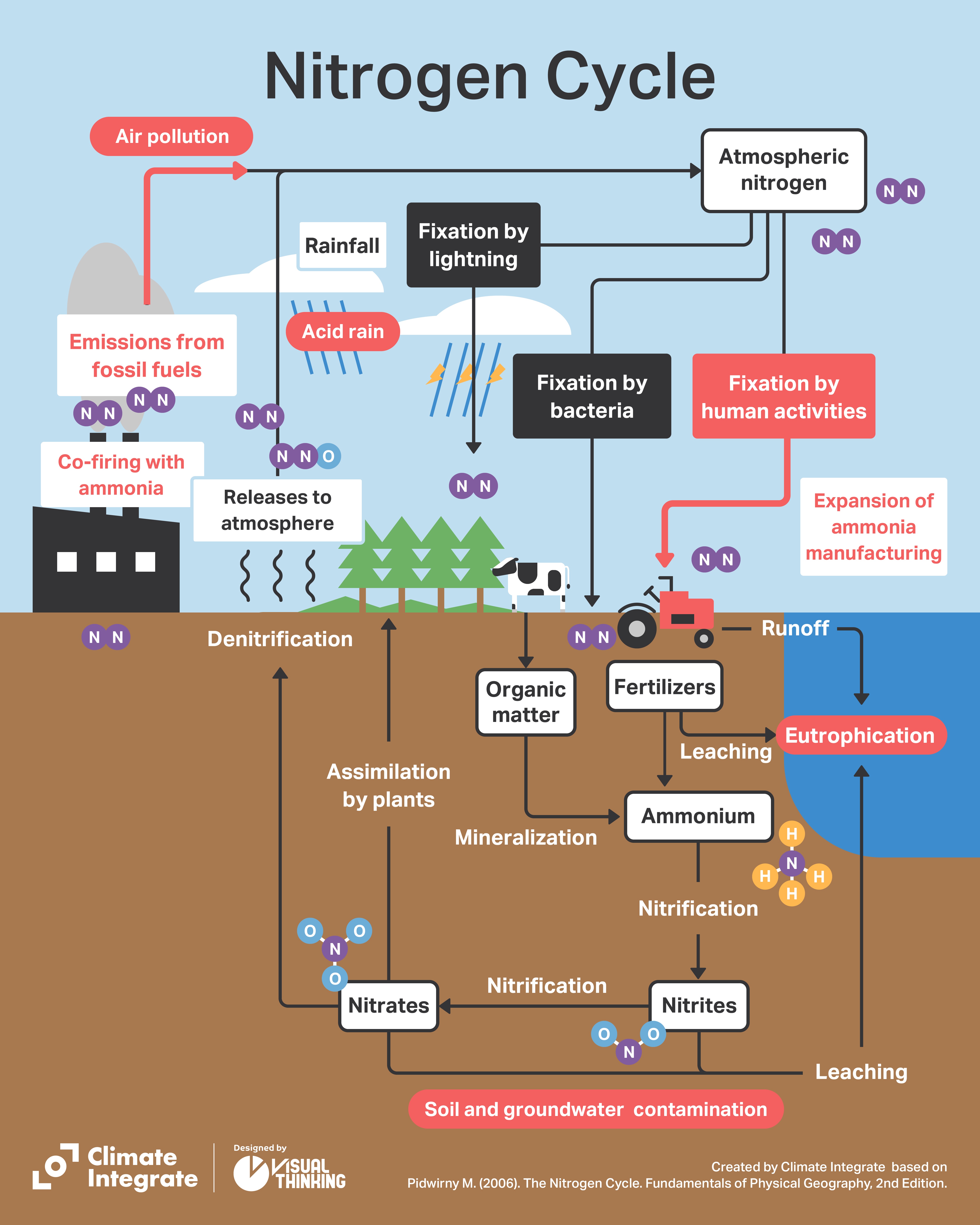 How Does The Use Of Fertilizer Affect The Nitrogen Cycle Storables