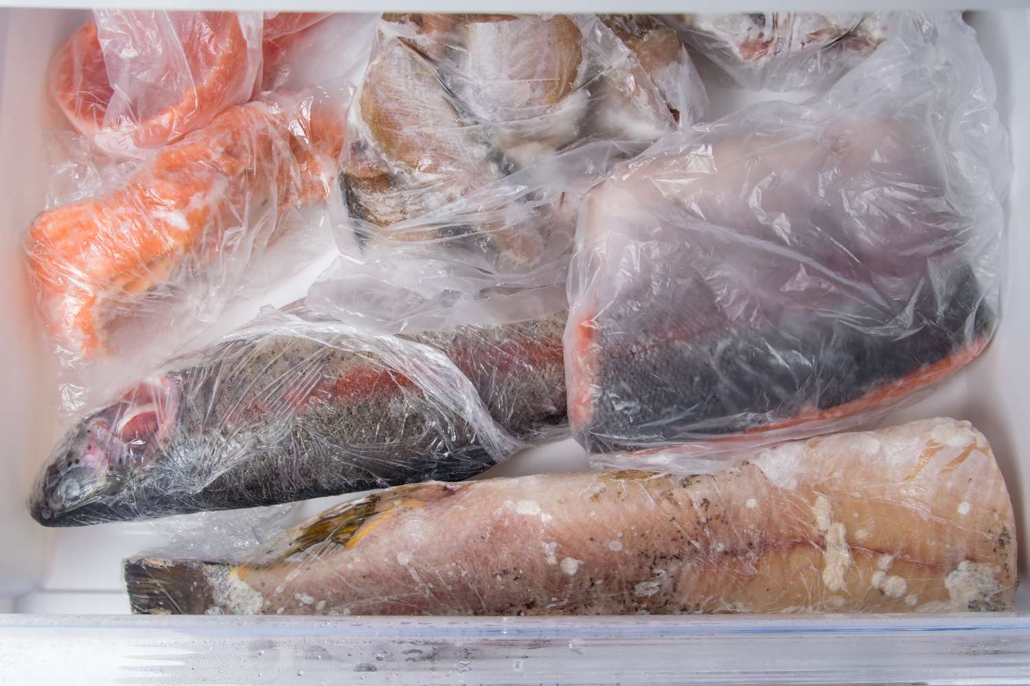 How Long Can Fish Last In The Freezer