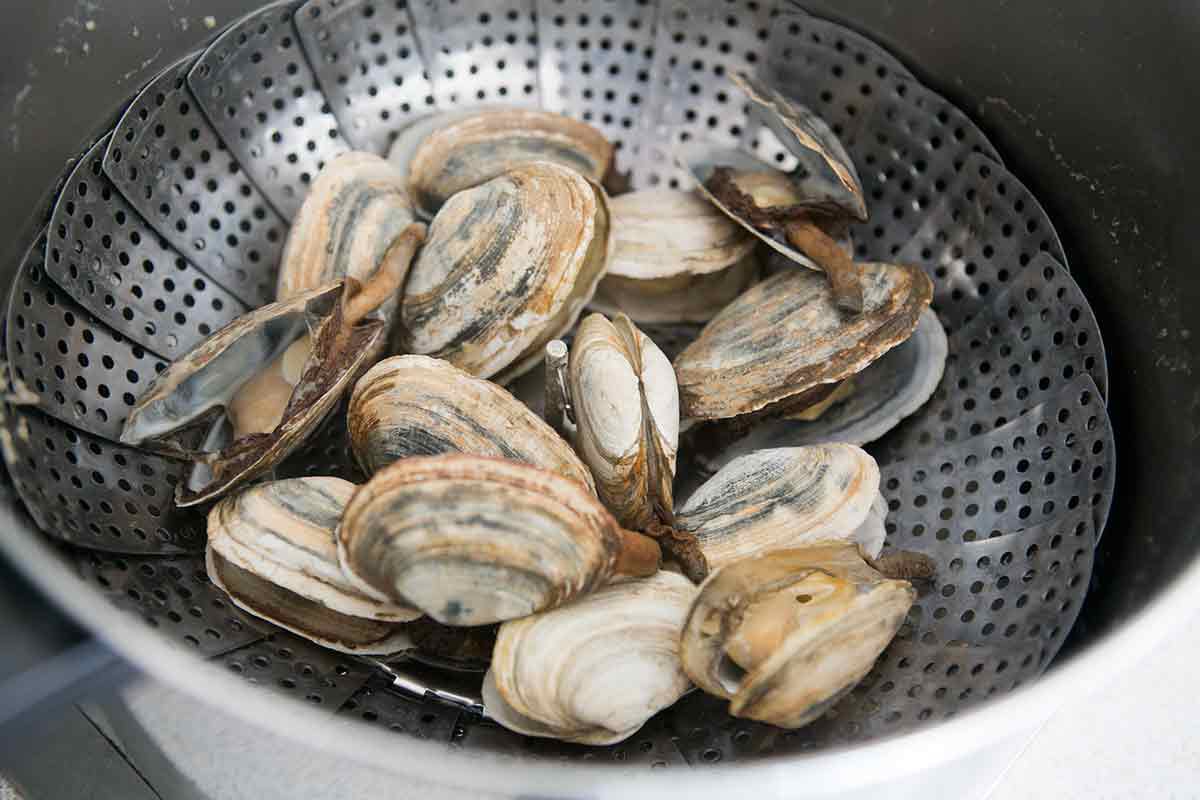 How Long To Boil Steamer Clams
