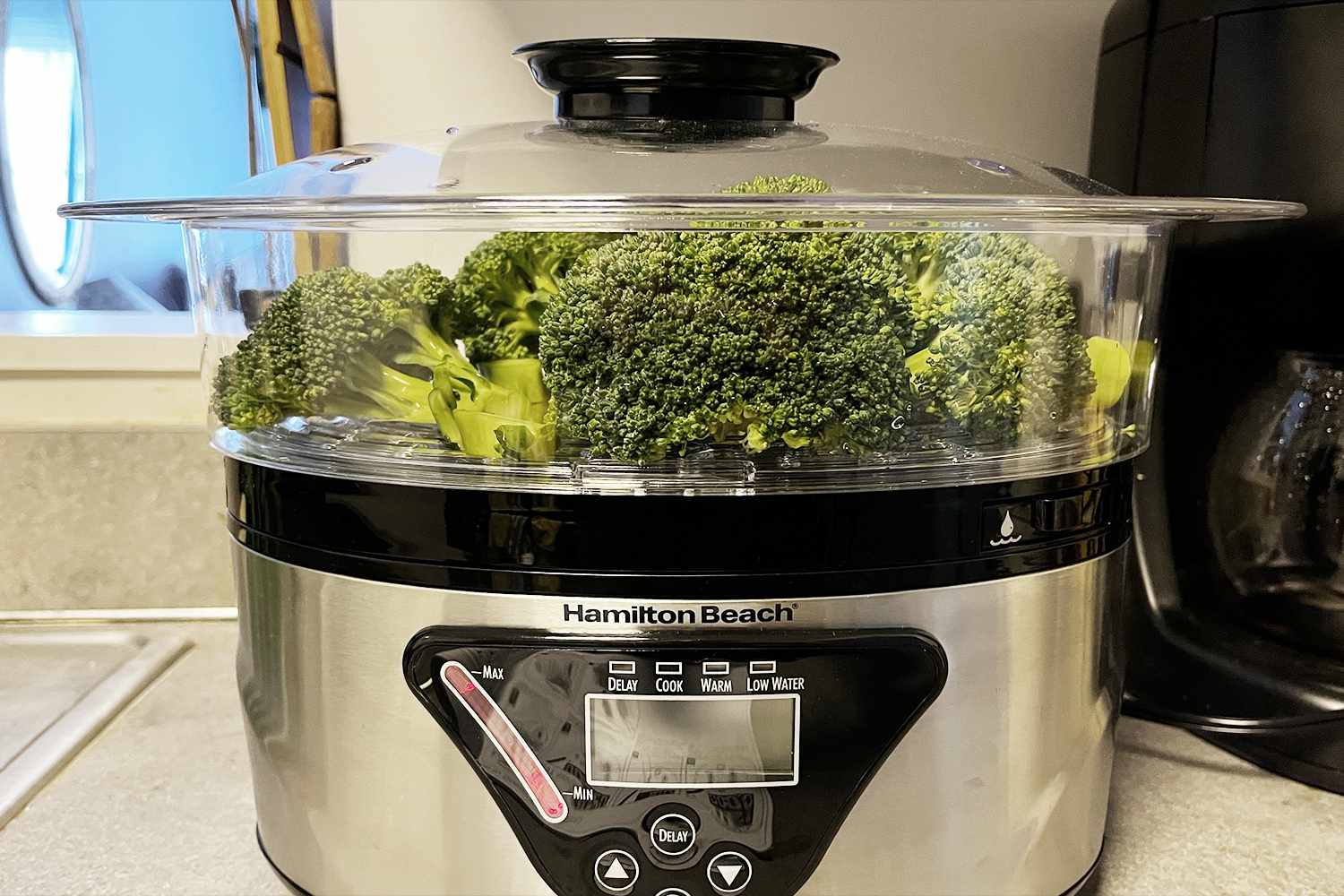 How Long To Steam Vegetables In Electric Steamer