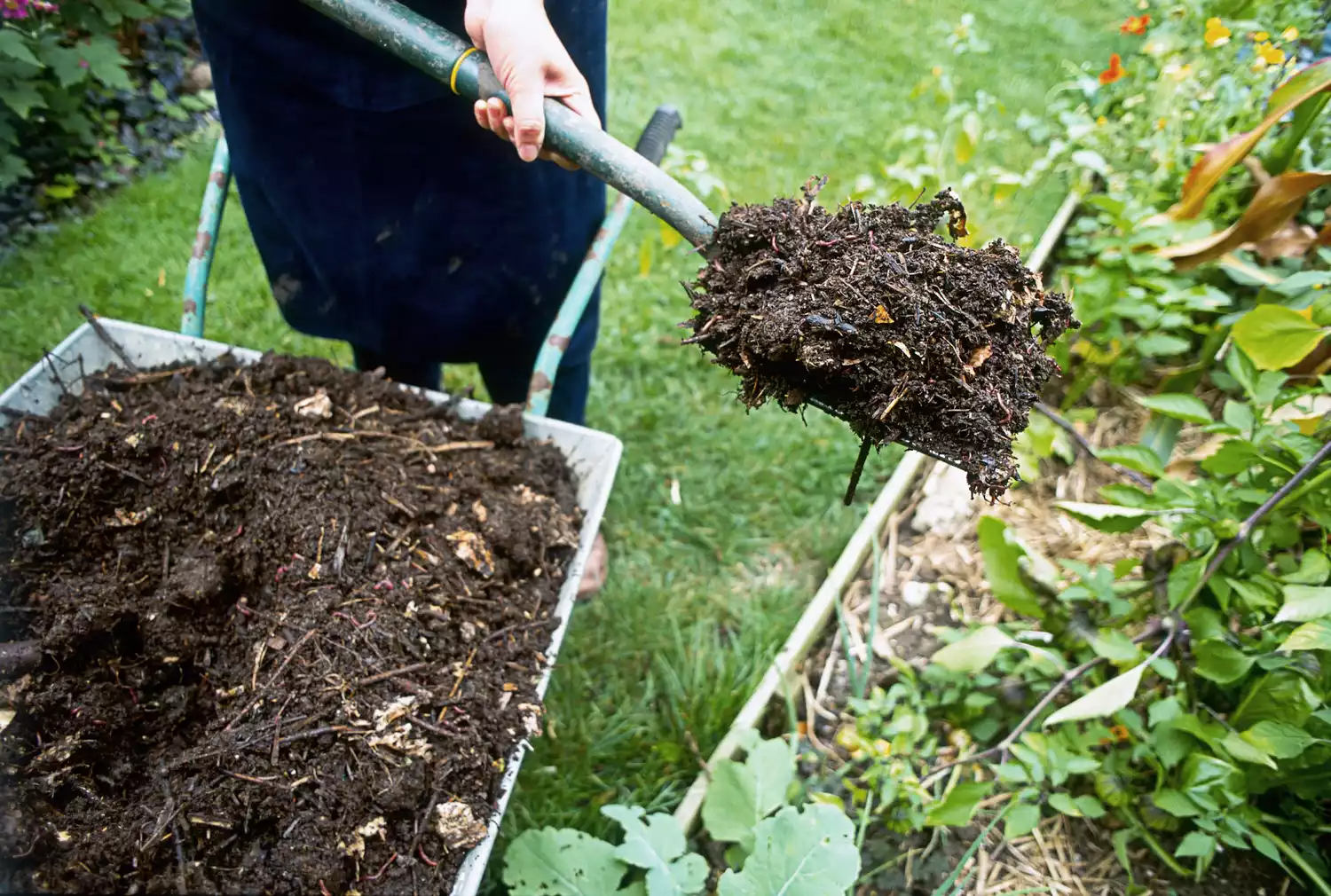 How Much Manure For Garden