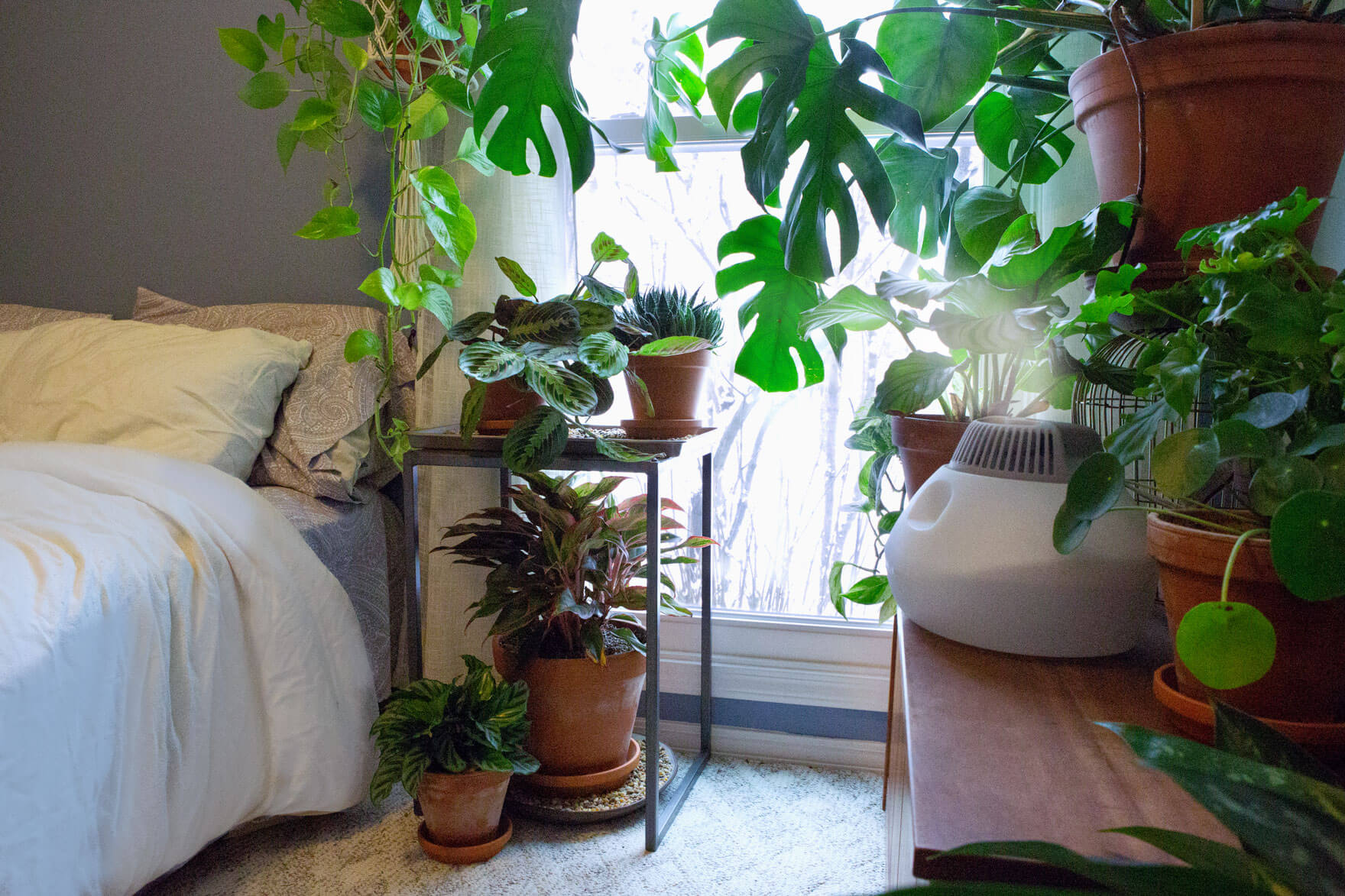 How To Add Humidity To A Room Without A Humidifier