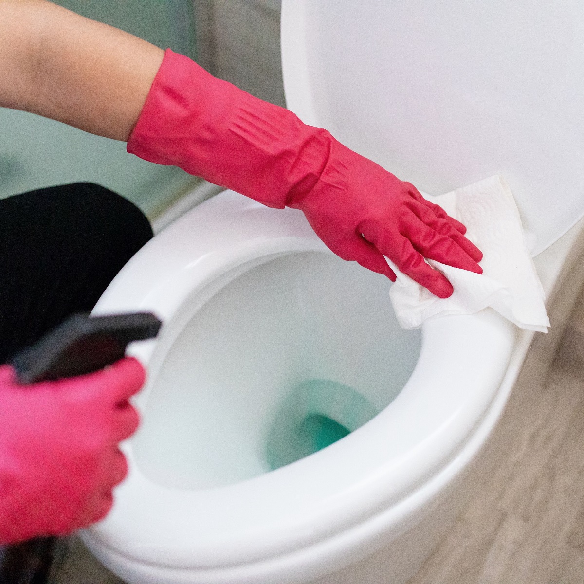 How To Clean A Toilet Seat