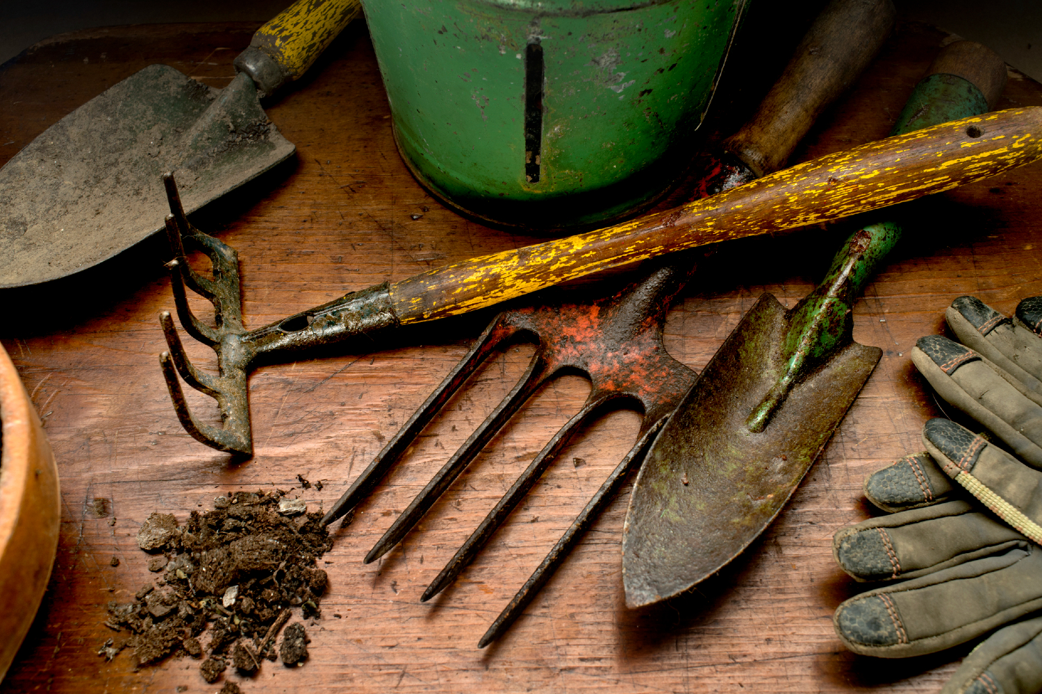 How To Clean Rusty Garden Tools