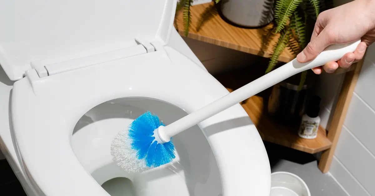 How To Clean The Toilet
