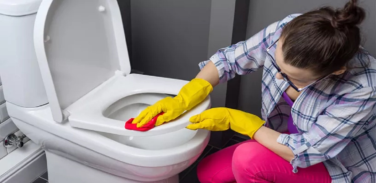 How To Clean Toto Toilet