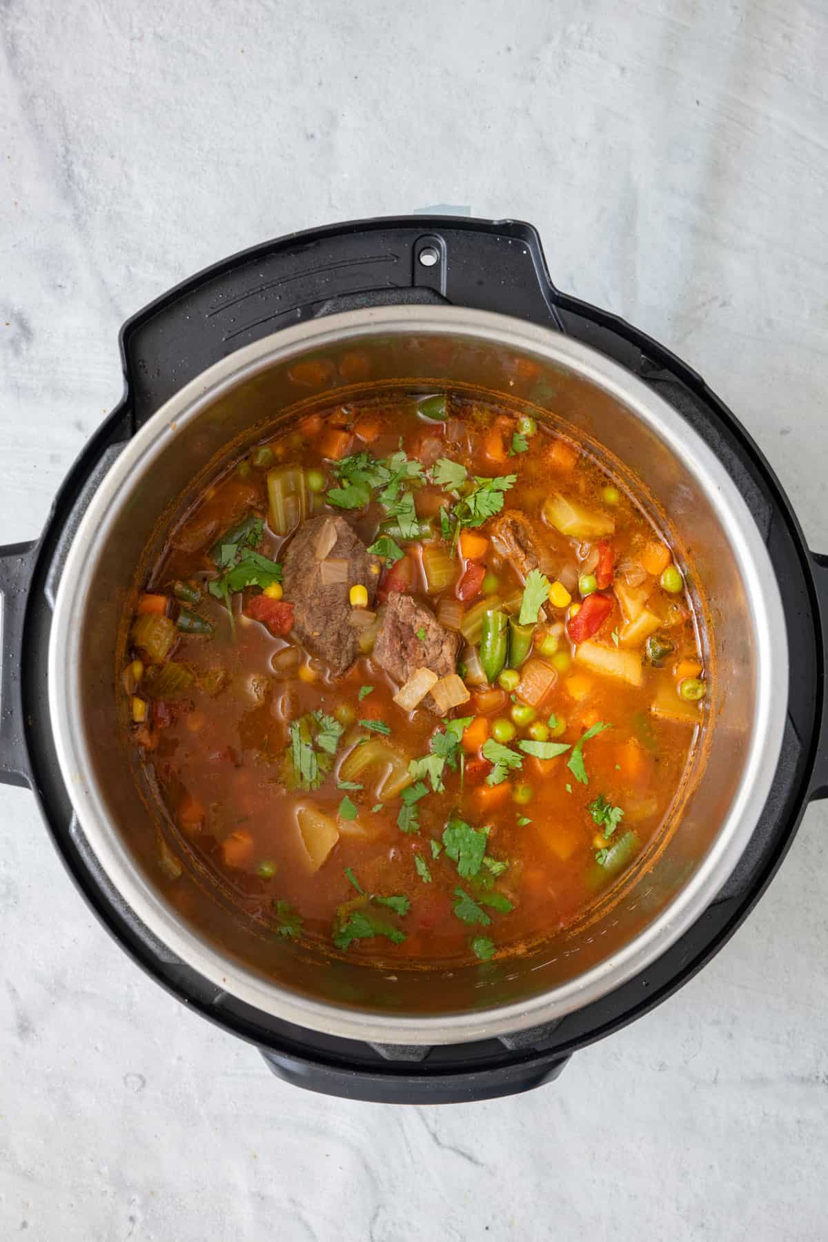 How To Cook Vegetable Beef Soup In Electric Pressure Cooker