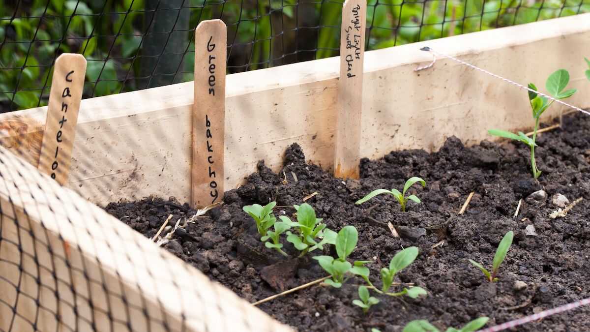 How To Create A Garden Bed