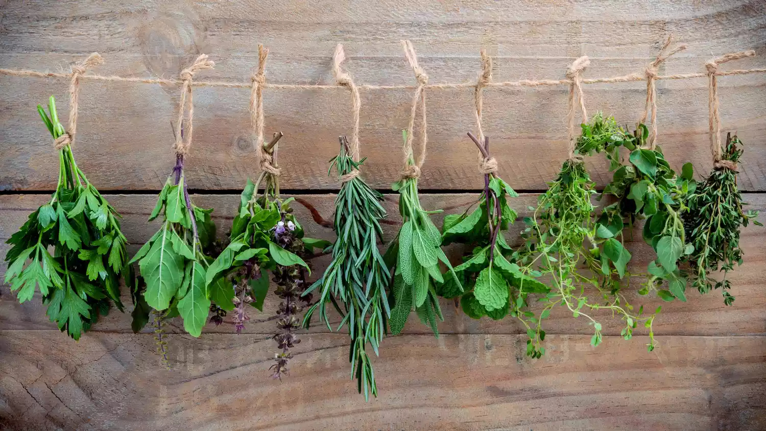 How To Dry Herbs From Garden