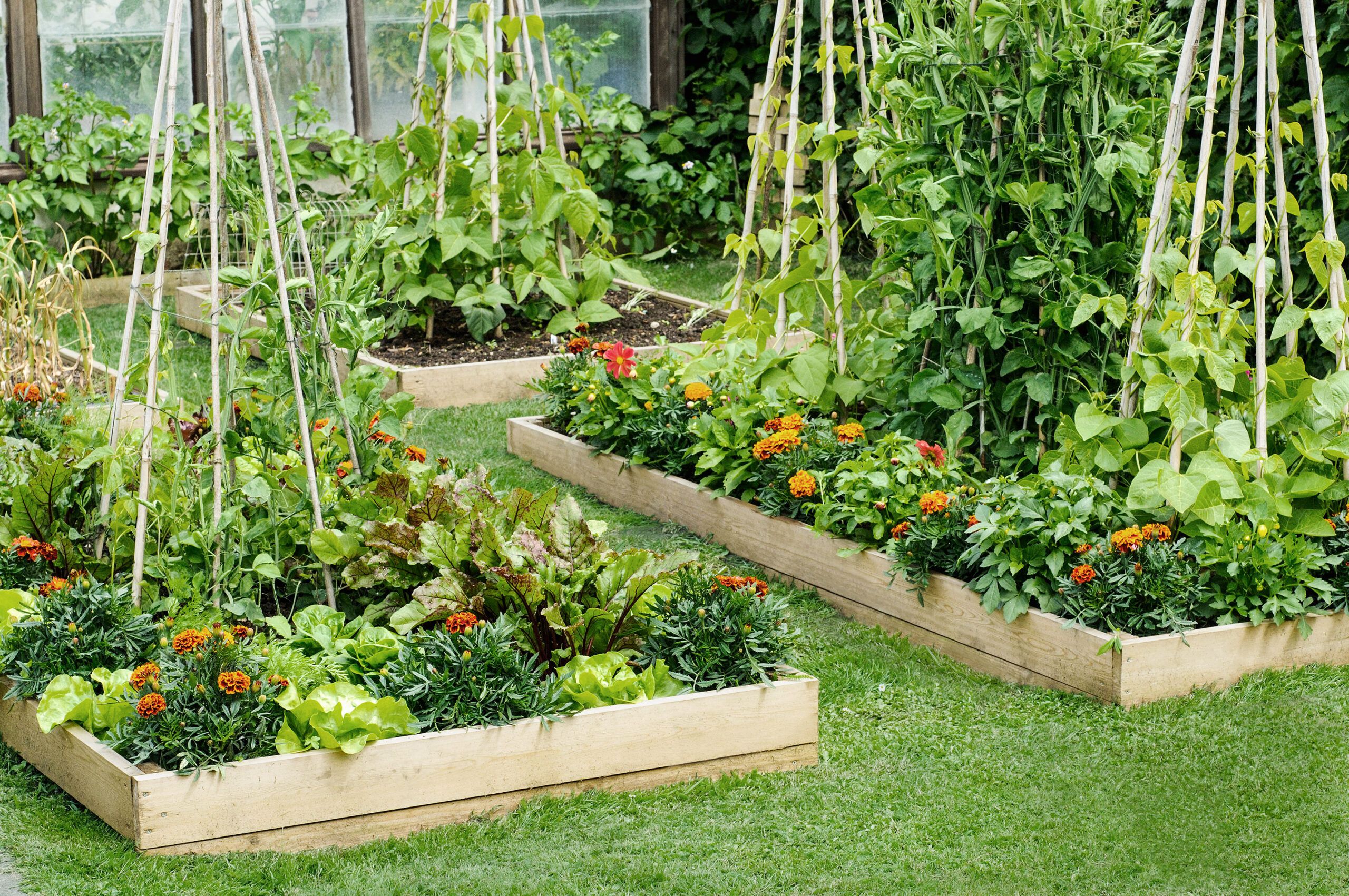 How To Fill Raised Garden Beds Cheap Storables