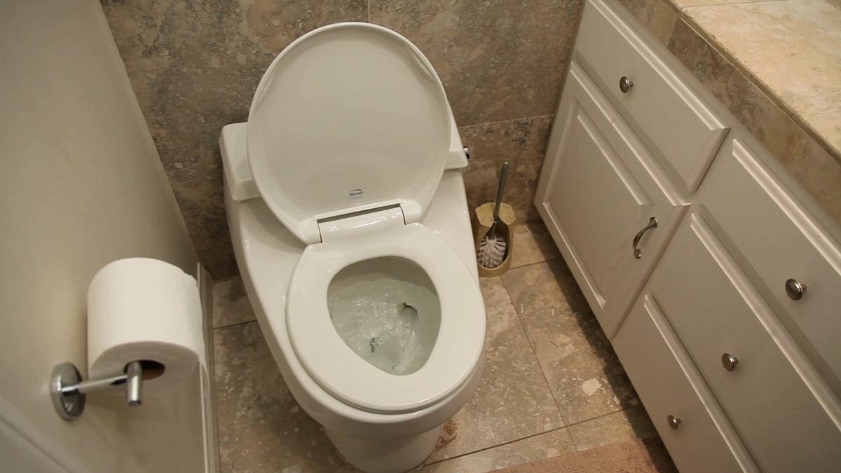 How To Flush The Toilet When The Water Is Off
