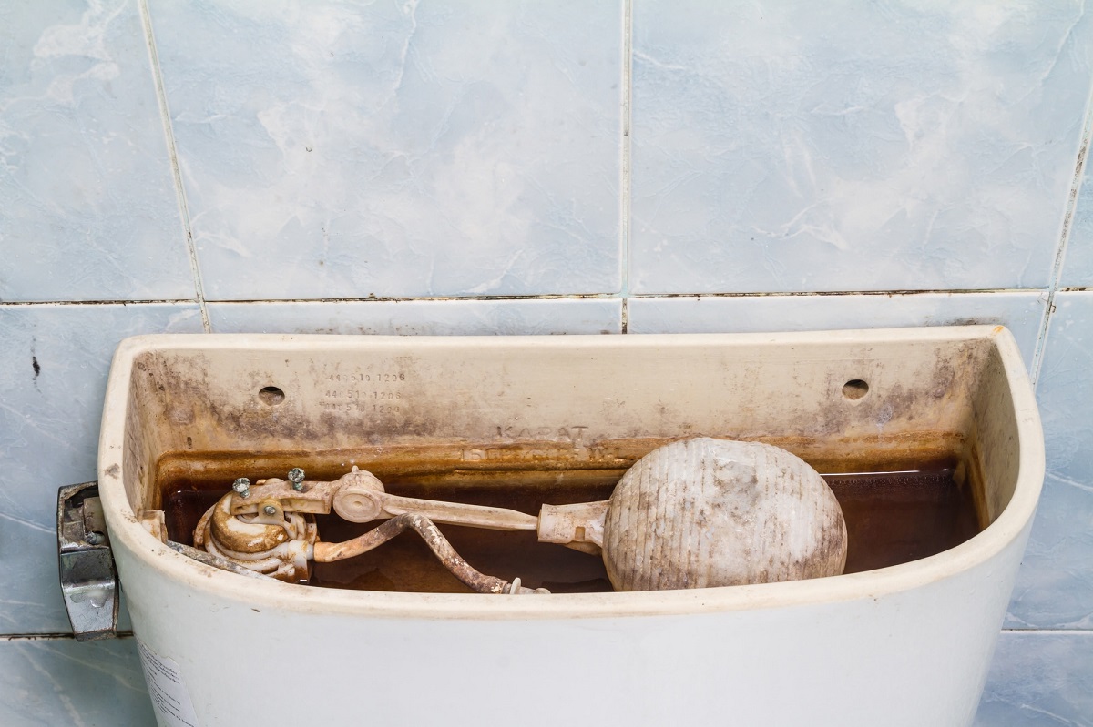 How To Get Rid Of Mold In Toilet
