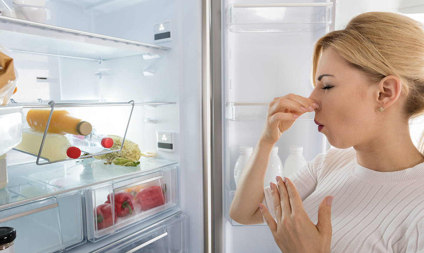 How To Get Smell Out Of Freezer