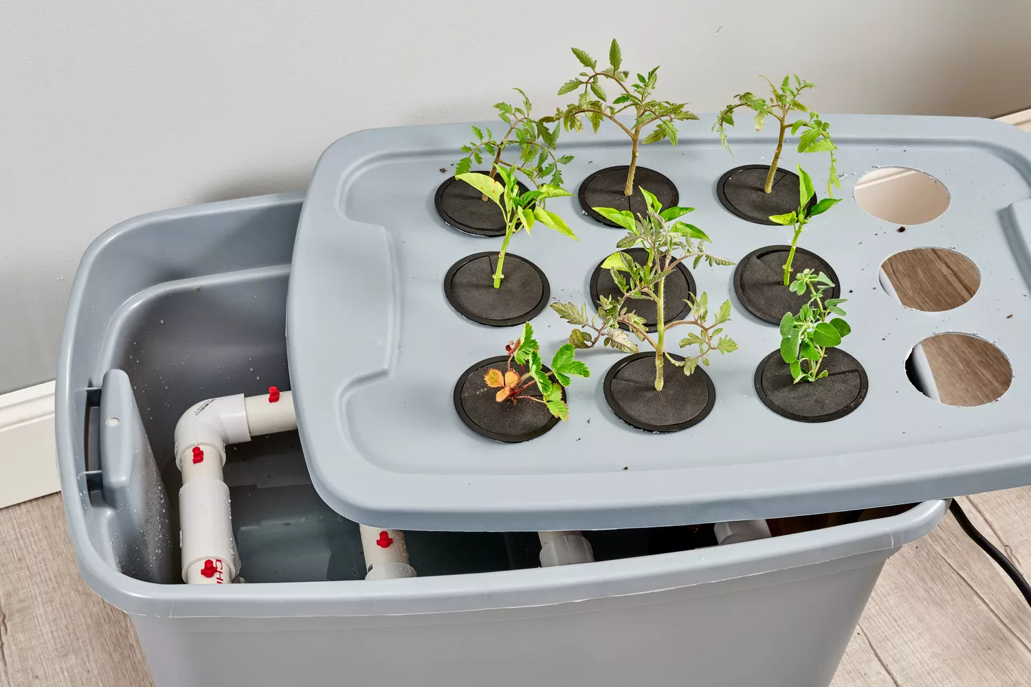 Ensuring Proper Ventilation and Air Circulation in Your Indoor Hydroponic Setup