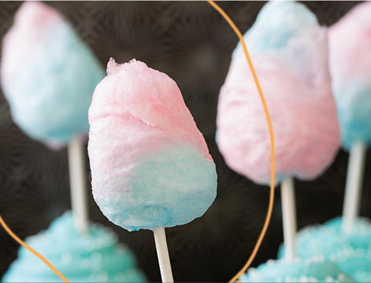 cotton candy photo shoot