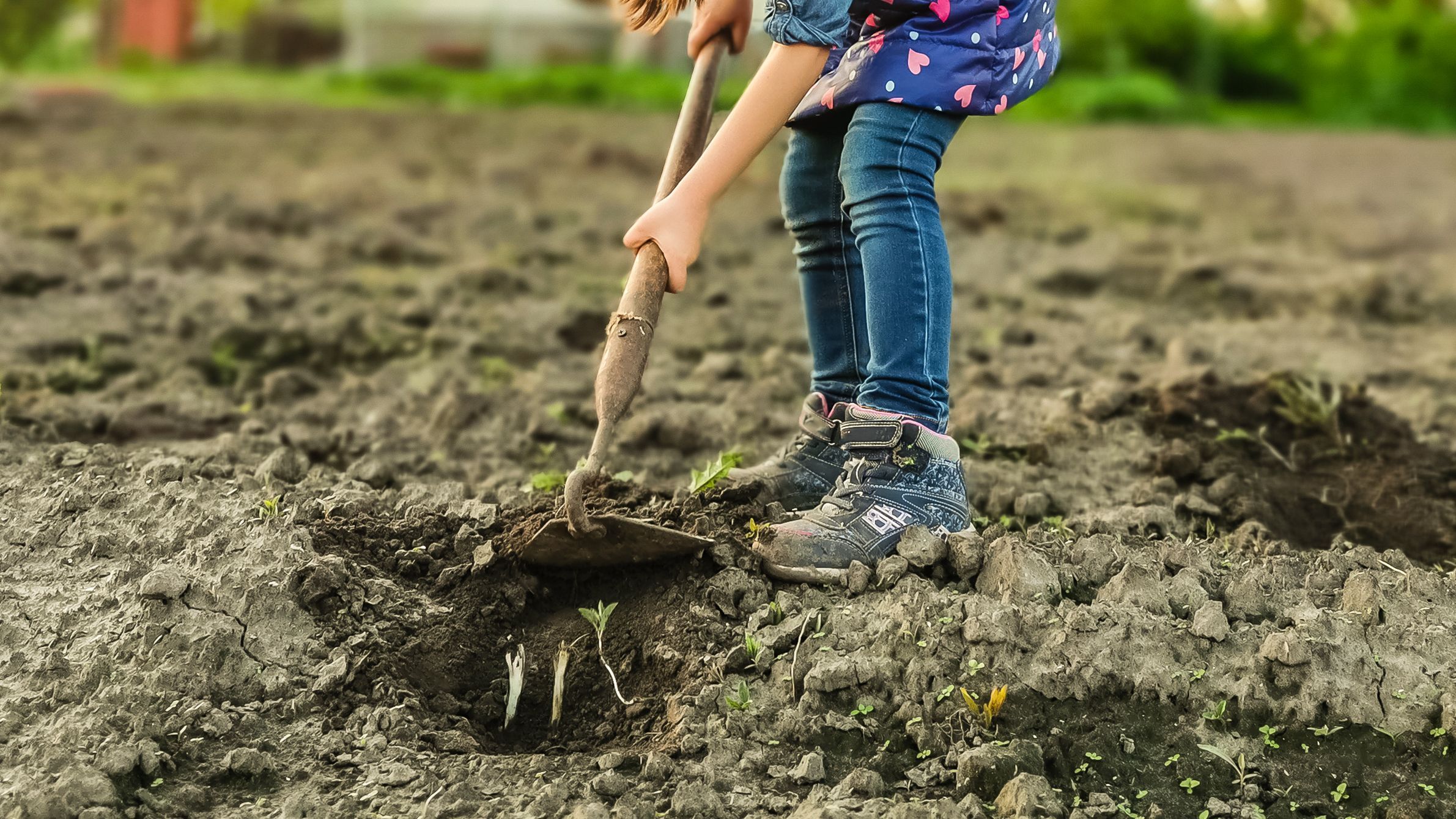 How To Prepare Soil For A Vegetable Garden