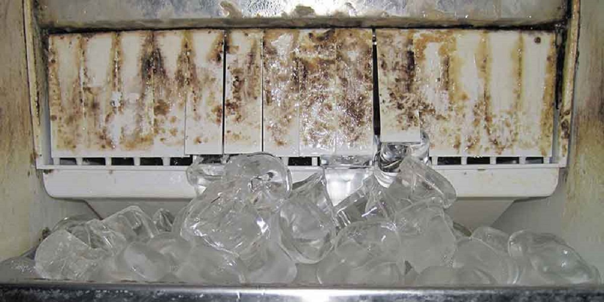 How To Remove Mold From Ice Maker