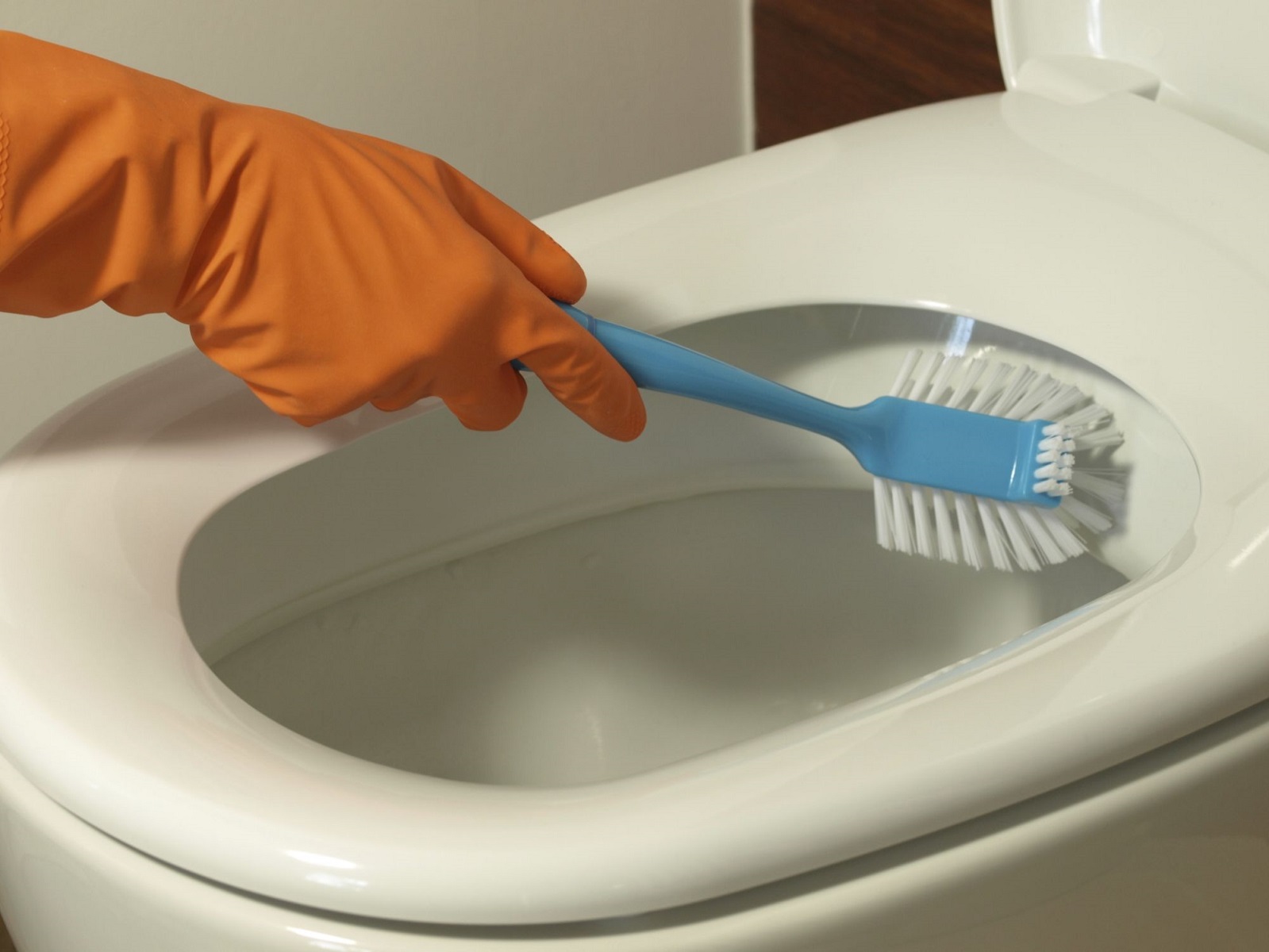 How To Remove Urine Stains From Toilet Bowl