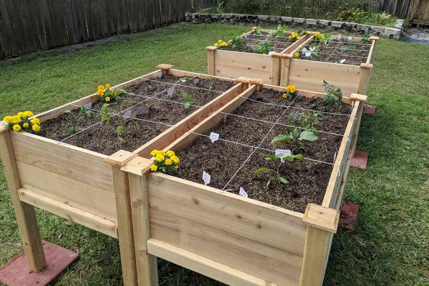 How To Start A Raised Bed Garden